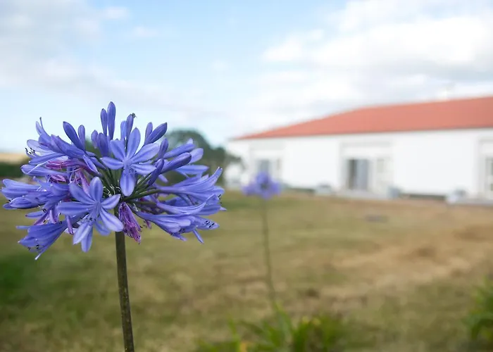 Santa Maria Hotel Vila do Porto
